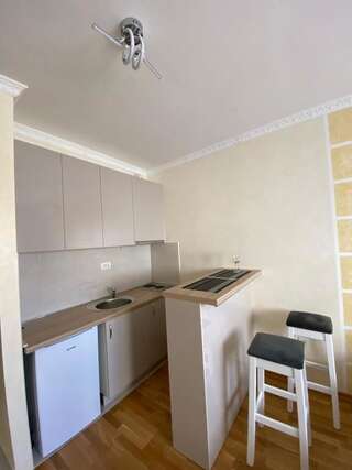 Апартаменты Studio apartment Onogost Никшич Апартаменты-студио-20